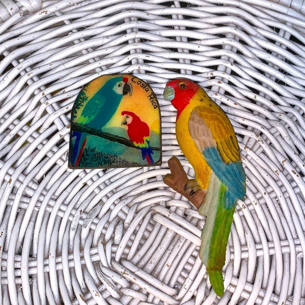 Set of 2 Vintage Parrot Refrigerator Magnets From Costa Rica Handpainted Wood